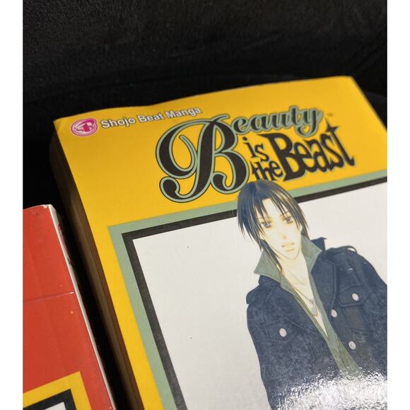Beauty Is The Beast Complete English Volumes 1-5 Manga by Tomo Matsumoto Japan - Picture 5 of 5